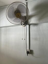 Blk 276 Ficus Vale (Yishun), HDB 3 Rooms #604957871
